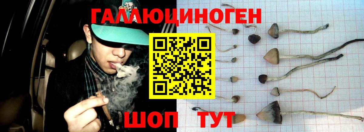 Галлюциногенные грибы прущие грибы  Псилоцибиновые грибы MAGIC MUSHROOMS  Вход с VPN  как найти закладки  Миасс 